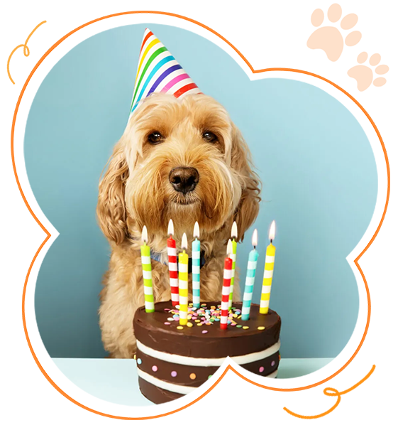 Dog Birthday Events
